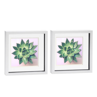 Bevelled Shadow Box Picture Frame with Mat