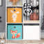 Everhart Bookcase