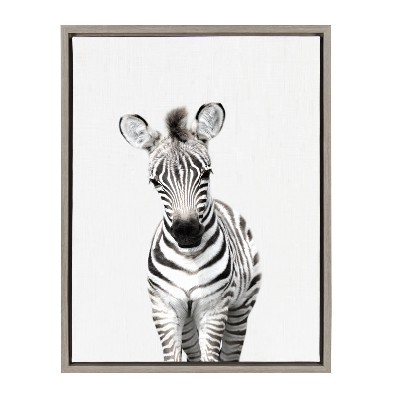 "Animal Studio Zebra" par Amy Peterson, reproduction d'art sur toile encadrée