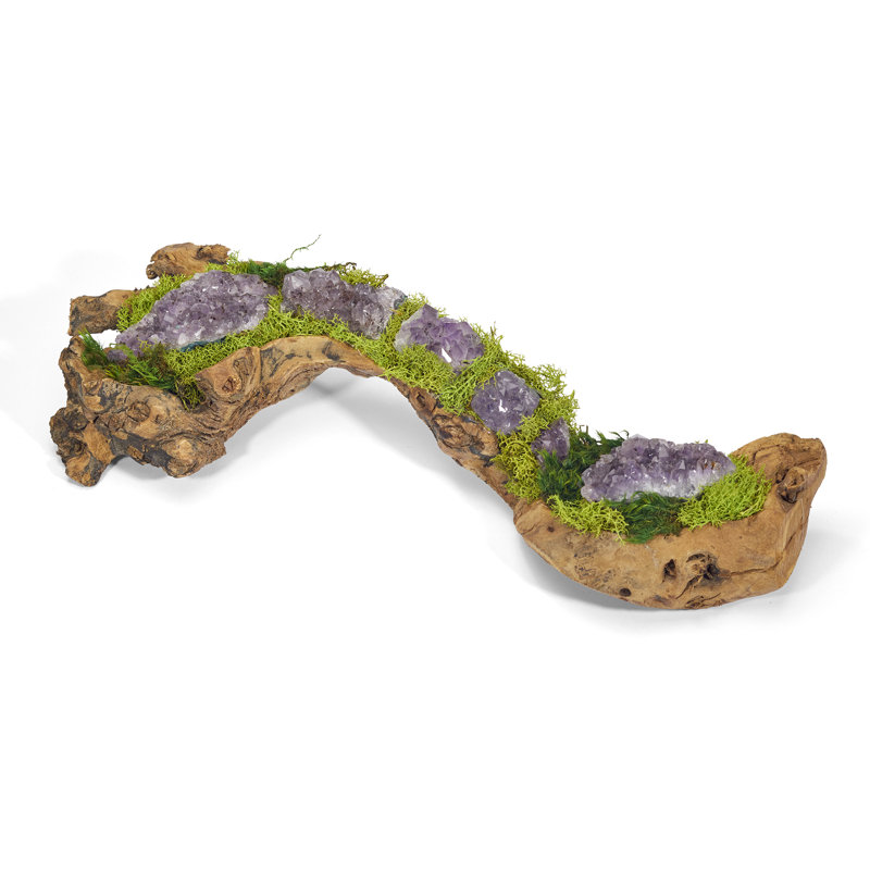 Moss Plant in Wood Planter