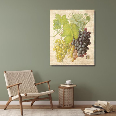 Red Barrel Studio® Nobleworks Inc. Gallery Wrapped Canvas Art Titled: Grapevine I