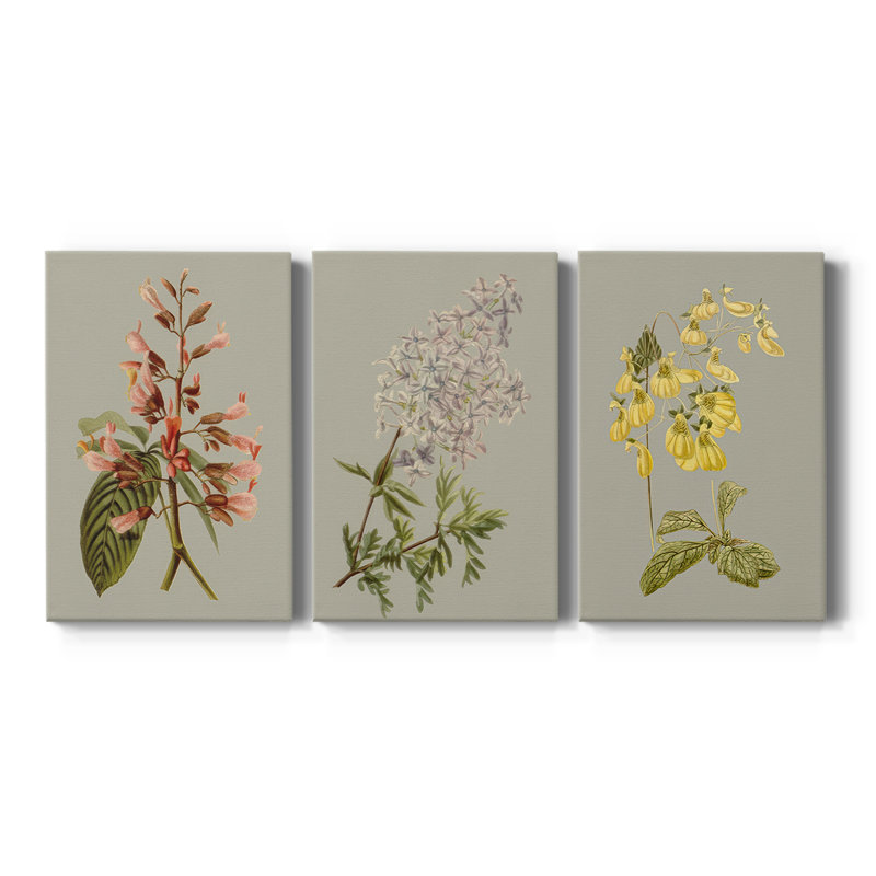 Botanical Array I - Toile tendue sur mesure avec châssis - 3 pièces, H 12 po x l 24 po