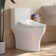 DV-1F073ZH002 Deervalley One Piece Toilet With Bidet Toilet Seat, Dual Flush 1.1/1.6 GPF, Smart Toilet Seat With Sensor Seat Heating, Warm Air Dryer, Nightlight, Multiple Wash Methodsone Piece Toilet With Bidet Toilet Seat, Sensor Seat Heating, Warm Air D