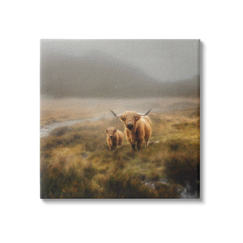Highland Cows, paysage champêtre sur toile par Paul Brent, photographie, H 30 po x l 30 po x P 1,5 po