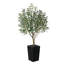 Olive artificielle Altera résistante aux rayons UV de 5 pi pour la décoration intérieure et extérieure, grande base en plastique avec galets-1763515180-1763515181