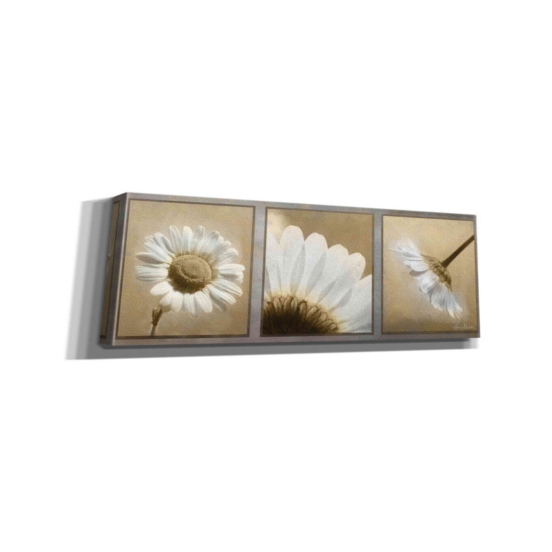 «Daisy Trio» par Lori Deiter