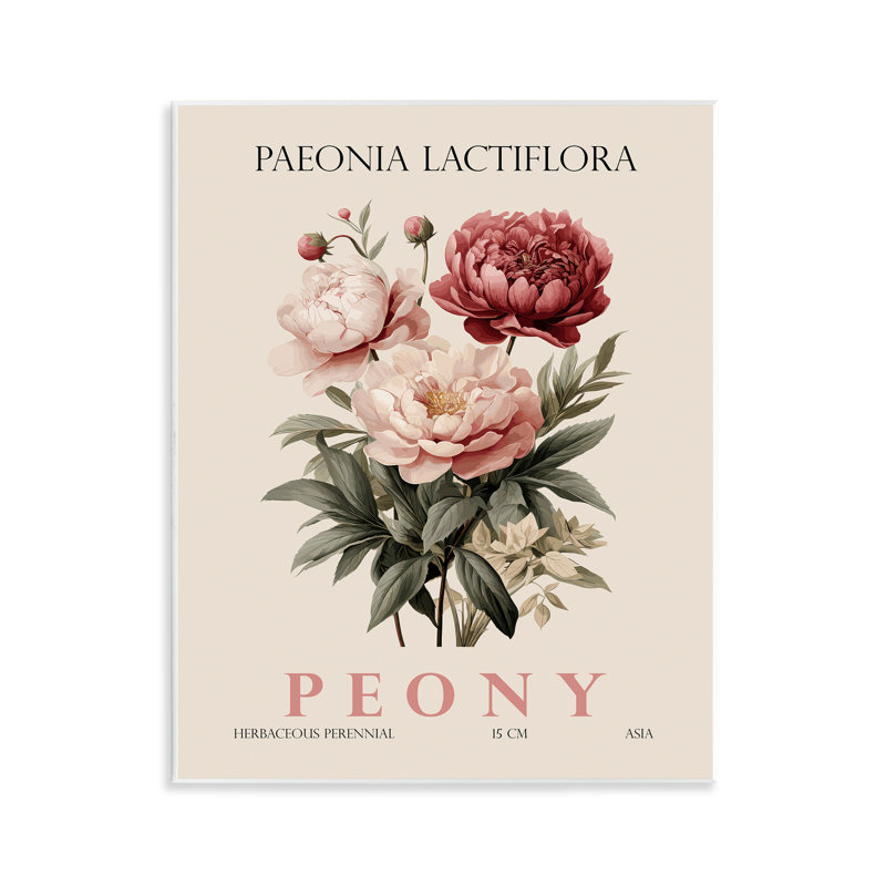 Natural Peony Bundle Wall Plaque, design by Christopher Giampietro