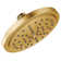 Fina Premium 2.5 GPM Rain Shower Head