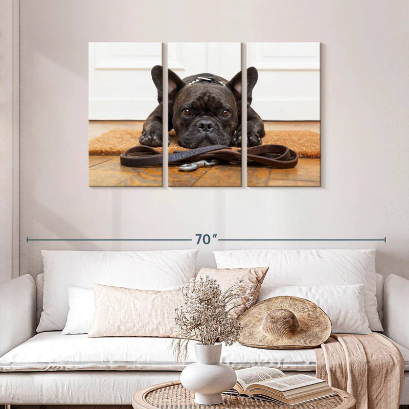 Bouledogue français en attente, H 28 po x l 45 po
