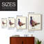 Pheasant Splash 6, reproduction encadrée - bois massif-1794252259