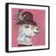Llama Animals-47565713-47565723