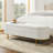Ferdinand 55.5" W Upholstered Storage Bench-1108600441-1137073318