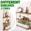 Pease Floating Shelf