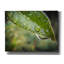 «Epic Graffiti» «Droplet Of The Leaf 1» par Life BeautifuLEE, art mural sur toile, 34 po x 26 po-511662386