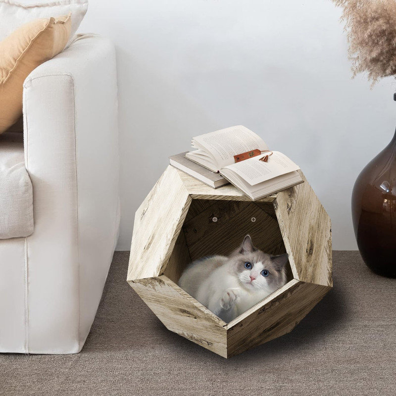 17 Stories Modern multifunctional end table can be used as a cat litter 17 Stories Modern multifunctional end table can be used as a cat litter
