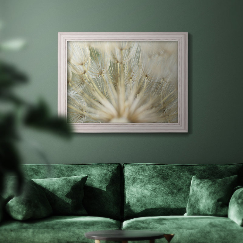 Macro Dandelion IV, photographie sur toile, H 21 po x l 25 po x P 2,5 po, Toile encadrée à coins fermés gris pastel