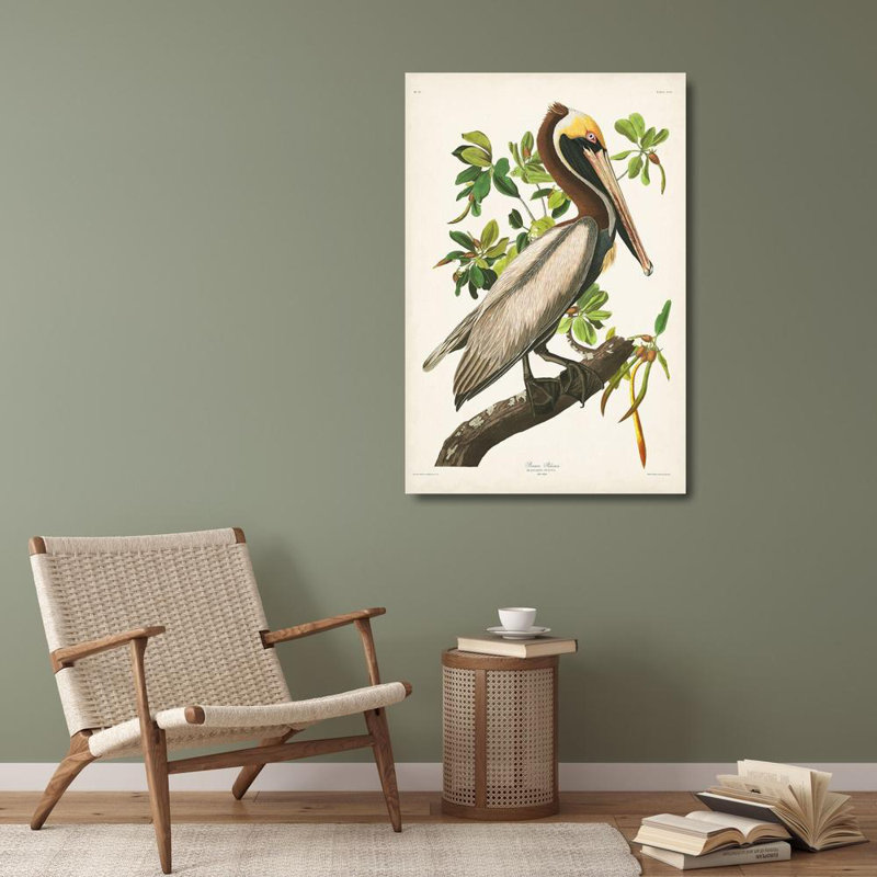 «Red Barrel Studio® Audubon, John James», reproduction d'art sur toile tendue sous le nom de pélican brun PL 251