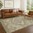 Machine Washable Indoor/Outdoor Chantille ACN2794 Global Rug-1555333075-1555333084