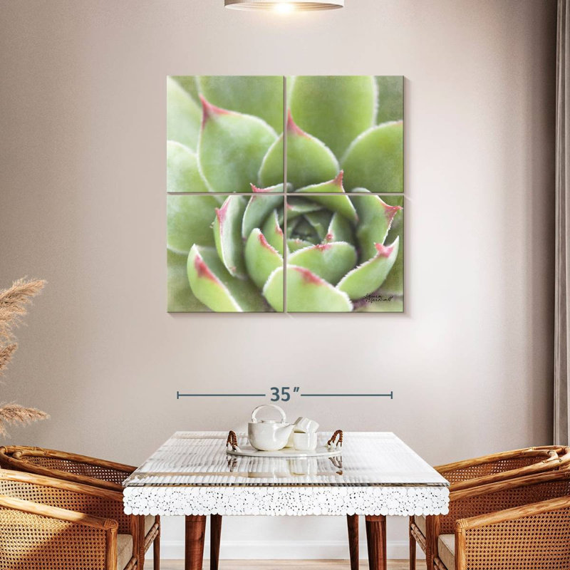 Harnek Garden Succulents III, H 38 po x l 38 po
