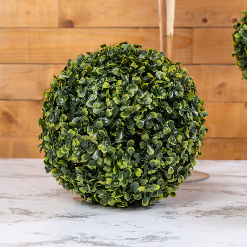 Topiaire buis ball plante, H 10,5 po x l 10,5 po x P 10,5 po