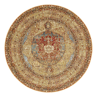 Indoor/Outdoor Traditional Area Rug