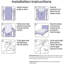 Zip Mattress Protector Case Pack-109709189