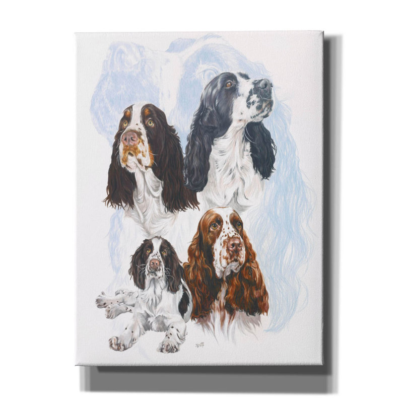 " Springer Spaniel " by Barbara Keith, 16" H x 12" W x 0.75" D