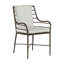 Carmel Patio Dining Armchair with Cushions-63361278-69974636