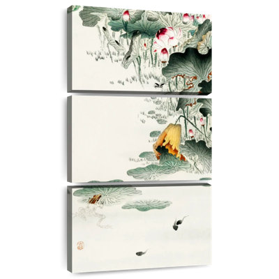 Frog And Tadpoles