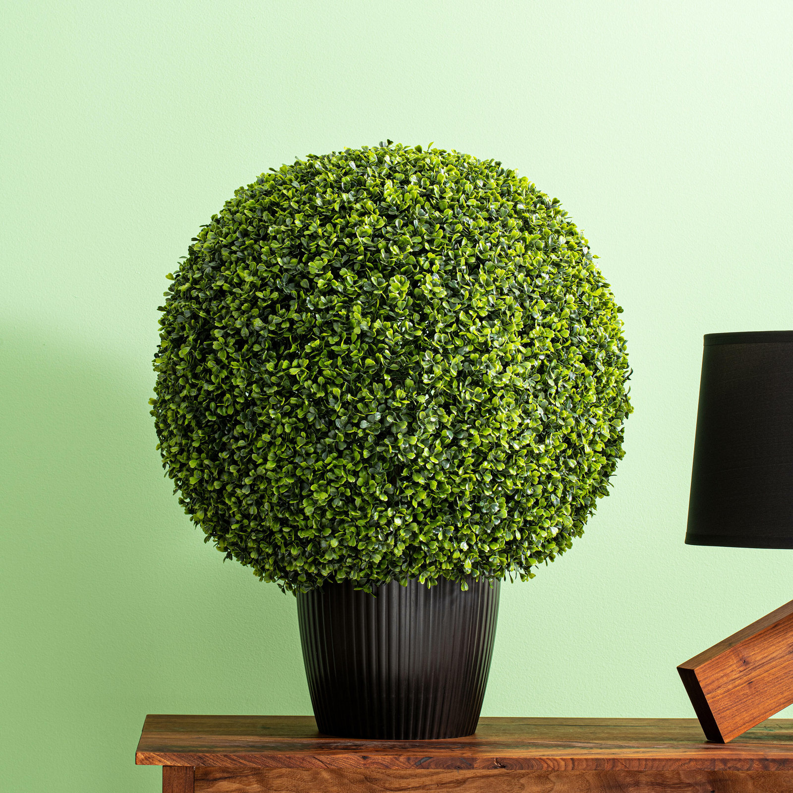 29" Boxwood Topiary in Pot, 29" H x 24" W x 24" D