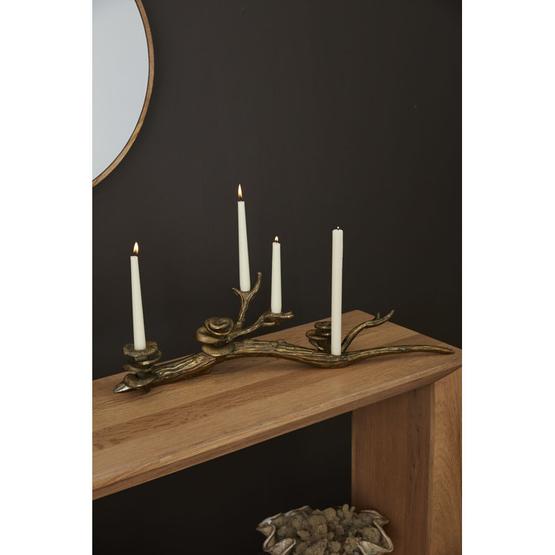 Oyster Mushroom Candleholder