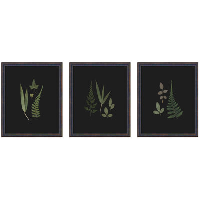 «Botanical Leaf Study», ensemble de 3 reproductions d'art encadrées par Stephanie Klatt