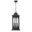 Lanterne suspendue d'extérieur 3 lumières Birch Lane Edan