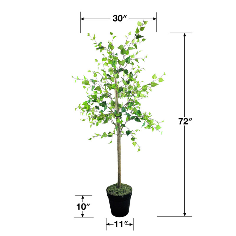 Lobos 72'' Faux Birch Tree in Pot