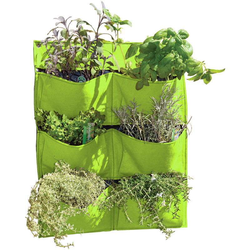 Longbridge Wood Wall Planter, Lime Green