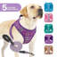 Harnais réglable pour chien avec laisse Gesemyer-252111963