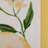 Hyde Cotton Food & Drink Rectangle Placemat