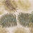 Hand Tufted Wool Indoor Rug