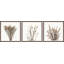 Triptyque branches brunes-2011492529