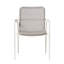 Dining Arm Chair-Set Of 4-451085670