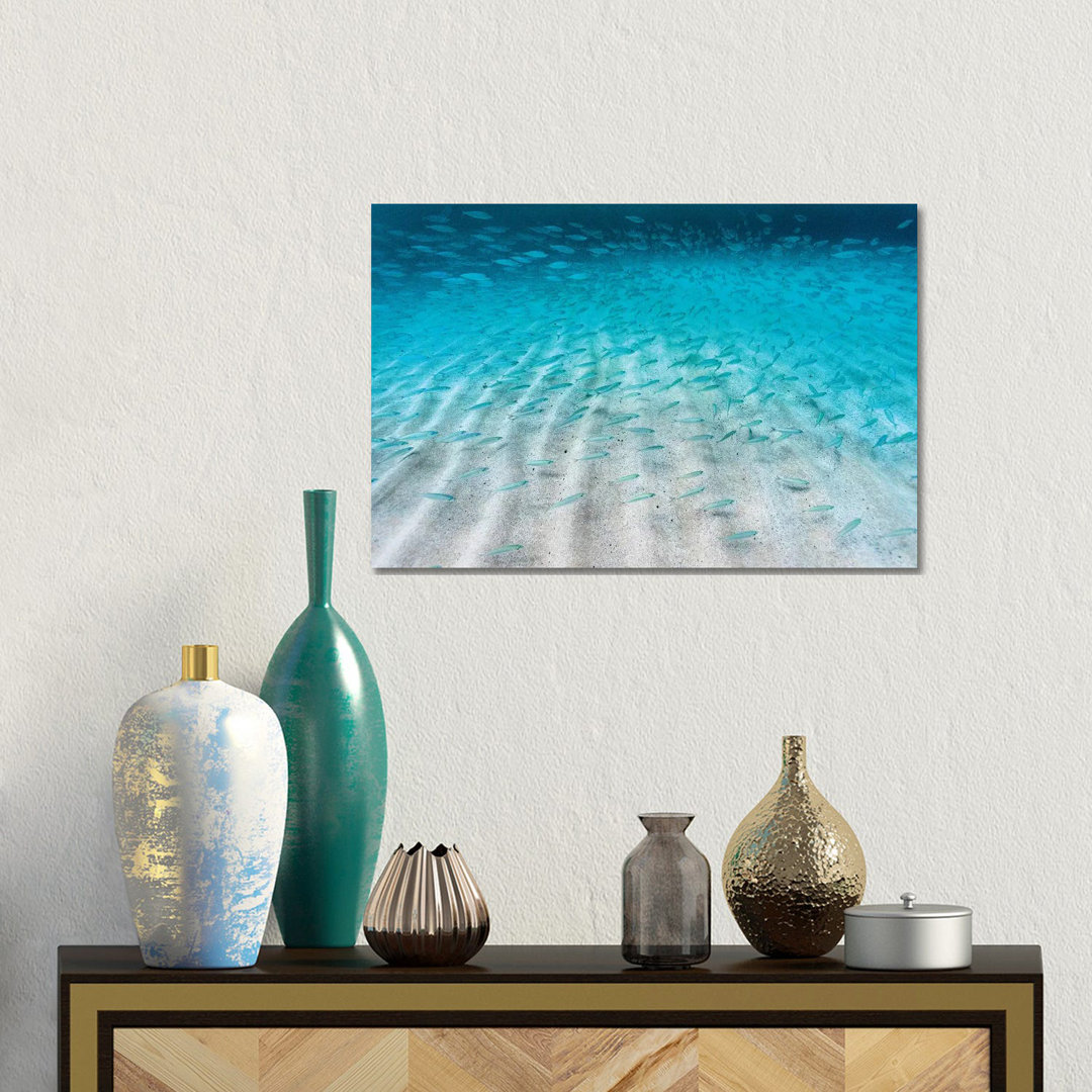 Sand Ripple Fish by Sean Davey - Gallery-Wrapped Canvas Giclée
