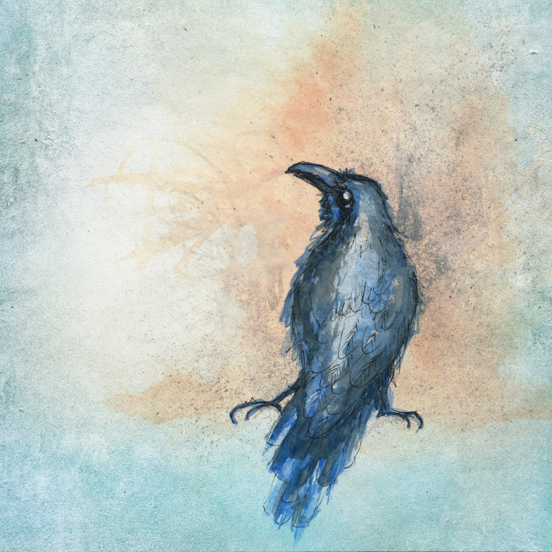 A Black Crow by Esinesra - Wrapped Canvas Print, 122cm H x 122cm W x 3.8cm D