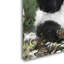 Armand «Panda», reproduction sur toile-21645902