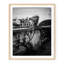 Italian Ivy - Picture Frame Photograph-360414819-360481668