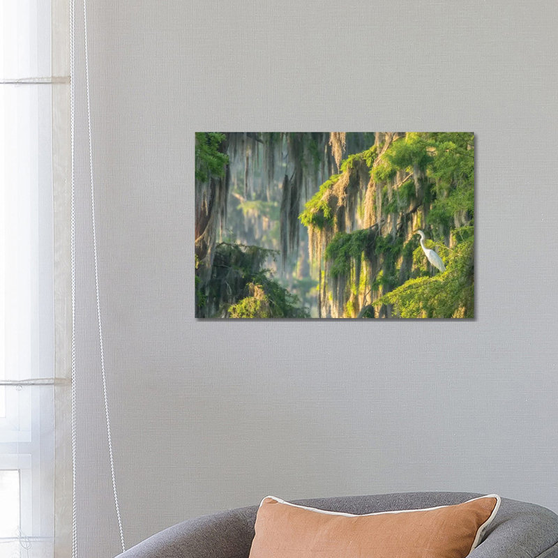 USA, Louisiana, Lake Martin. Foggy Swamp Sunrise With Great Egret In Tree. by Jaynes Gallery - Wrapped Canvas Gallery-Wrapped Canvas Giclée