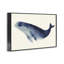 Baleine géante encadrée, giclée par Lily K.-82749536-82749551