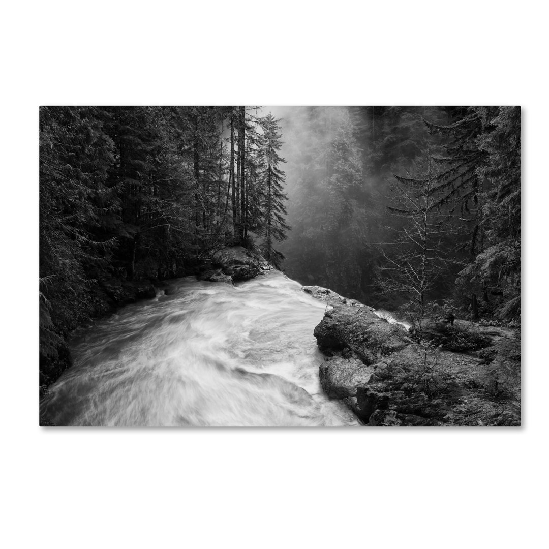 Modern & Contemporary Millwood Pines 