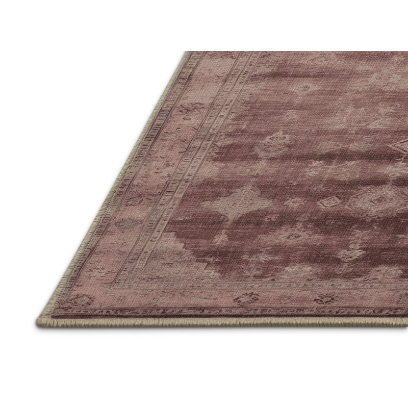 Machine Washable Overdyed Brown Area Rug