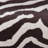 Dann Foley Animal Print Throw Pillow