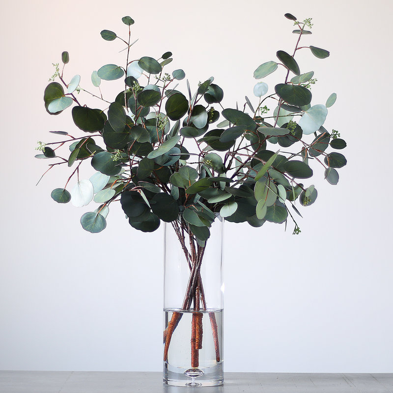Arrangement en eucalyptus véritable avec un grand vase en verre